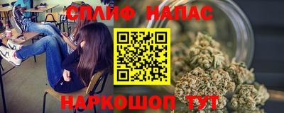 шишки Славянск-на-Кубани