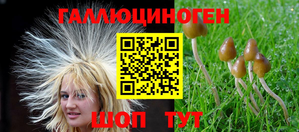 Нижневартовск  Псилоцибиновые грибы GOLDEN TEACHER  Вход с VPN 